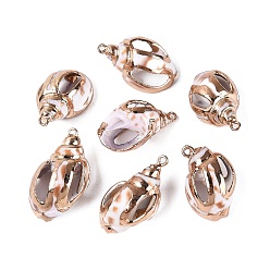 Chocolate Electroplated Golden Brass Edged Natural Spiral Shell Pendants, Conch Charms, Chocolate, 25~31x15~19x14~16mm, Hole: 1.4~1.6mm