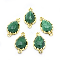 Малахит Соединители звеньев натурального малахита, с фурнитурой латунной золотого тона, слеза, граненые, 17.5x9.5x5 мм, отверстие : 1.2 мм
