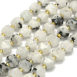 Rainbow Moonstone Бусины из натурального радужного лунного камня, граненые, восьмиугольный, 9~10.5x9~10.5x7.5~8.5 мм, отверстие : 1 мм, около 36~40 шт / нитка, 15.35~15.55 дюйм (39~39.5 см)