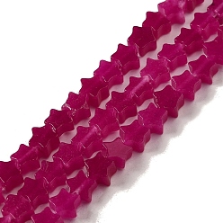 Белый Нефрит Окрашенные природные белый нефрит бисер пряди, звезда, камелия, 6x5.5x2 мм, отверстие : 0.8 мм, около 75 шт / нитка, 14.57 дюйм (37 см)