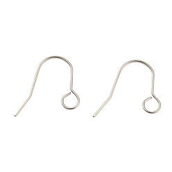Stainless Steel Color 304 Stainless Steel Earring Hooks, Ear Wire with Horizontal Loop, Stainless Steel Color, 20 Gauge, 24x29x1mm, Hole: 5mm, Pin: 0.8mm
