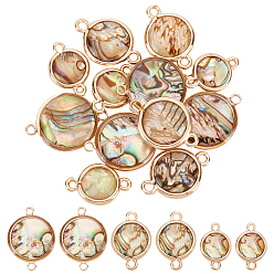 Золотой 12 шт 3 стили натуральный пауа ракушка соединительные подвески, плоские круглые ссылки, с латунной фурнитурой , золотые, 9.5~14x14.5~19x2.5~4 мм, отверстие : 1.2~1.6 мм, 4 шт / стиль