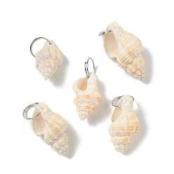 Античный Белый Естественно спиральные подвески оболочки, подвески в форме ракушки с железными соединительными кольцами платинового оттенка, старинный белый, 15.5~36.5x15.5~20.5x15.5~18 мм, отверстие : 14.5 мм