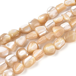 Цвет Древесины Натуральная оболочка из трохидных оболочек, самородки, деревесиные, 5~11x5~8x3.5~6 мм, отверстие : 0.8~0.9 мм, около 51~54 шт / нитка, 15.55~15.75'' (39.5~40 см)