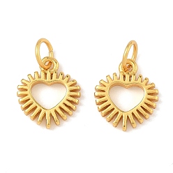 Настоящее золото 24K Латунные подвески, сердце прелести, долговечный, без свинца и без кадмия, с целью перехода в кольце, реальный 24 k позолоченный, 12x10x2 мм, отверстие : 3 мм
