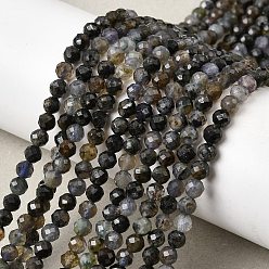 Айолит Природные иолит нитей бисера, круглые, граненые, 4 мм, отверстие : 0.6 мм, около 99~100 шт / нитка, 15.20~15.39'' (38.6~39.1 см)