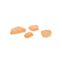 Coral Natural Freshwater Shell Beads, Shell Shards, Dyed, No Hole, Chip, Coral, 1~10x1~4x0.5~2mm