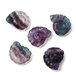 Флюорит Природного флюорита подвески, двухсторонний резной наутилус с верхним сверлением, 29x25x9.5 мм, отверстие : 1 мм