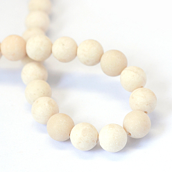 Fossil Frosted Natural Fossil Round Bead Strands, 12mm, Hole: 1.5mm, about 32pcs/strand, 15.5 inch