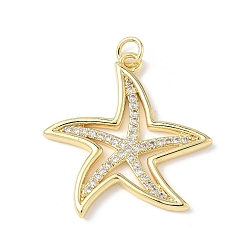 Настоящее золото 18K Латунные микро проложить кубического циркония подвески, морская звезда, стойки покрытие, долговечный, без кадмия и без свинца, с целью перехода в кольце, реальный 18 k позолоченный, 27.5x27x2 мм, отверстие : 3.5 мм