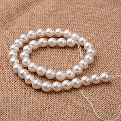 Seashell Color Polished Round Grade A Shell Pearl Bead Strands, Seashell Color, 6mm, Hole: 1mm, about 64pcs/strand, 15.7 inch