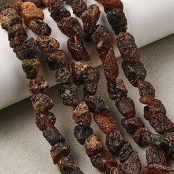 Amber Raw Rough Natural Amber Beads Strands, Nuggets, 7~10x7~8x7~8mm, Hole: 1mm, about 49~51pcs/strand, 15.43''(39.2~40cm)