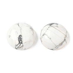 Говлит Природные кабошонов Говлит, полукруглый, 25~26x6.5~10.5 мм