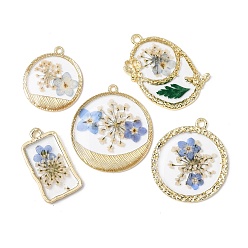 Mixed Shapes Прозрачные смоляные подвески, с засушенными цветами и фурнитурой из сплава золотистого тона, разноцветные, разнообразные, 24~32x14.5~28.5x2.5 мм, отверстие : 1.6~2 мм
