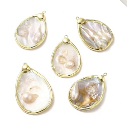 Золотой Латунные большие кулоны, подвески-капли из натуральных ракушек, долговечный, золотые, 49~59x32.5~38x6~9.5 мм, отверстие : 1.8~2.2 мм