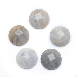 Natürliche Achat Natürliche Bambusblatt-Achat-Cabochons, facettiert, Halbrund, 14~14.5x5 mm