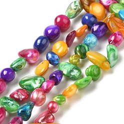 Colorful Natural White Shell Beads Strands, Dyed, Nuggets Chips, Colorful, 5~19.5x5~10.5x3.5~6mm, Hole: 0.8mm, about 54pcs/strand, 14.80 inch(37.6cm)