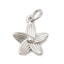 Платинированный Латунь прелести, цветок, долговечный, стойки покрытие, с целью перехода в кольце, Реальная платина, 13.5x11x2.5 мм, отверстие : 3.2 мм
