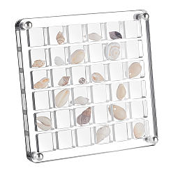 Clear 36 Grids Acrylic Shell Storage Box with Lid, Shell Organizer Display Case, Square, Clear, 12x12x1.1cm