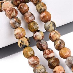 Сумасшедший Агат Природные сумасшедший агат бисер нитей, фонарь, 9~11x10.5~12x10.5~12 мм, отверстие : 0.8~1 мм, около 36~41 шт / нитка, 14.57~16.73 дюйм (37~42.5 см)