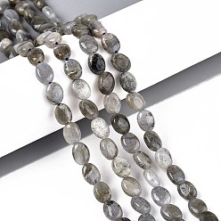 Лабрадорита Природные лабрадорита бисер нитей, Плоско-овальные, 8x6x4 мм, отверстие : 0.8 мм, около 48~49 шт / нитка, 14.88~15.16'' (37.8~38.5 см)