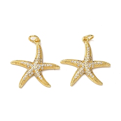 Морская звезда Латунные микро проложить кубического циркония подвески, морские животные, с целью перехода в кольце, стойки покрытие, долговечный, без свинца и без кадмия, реальный 18 k позолоченный, морская звезда, 23.5x22x2 мм, отверстие : 3.5 мм