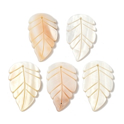 Античный Белый Резные подвески из натуральных пресноводных ракушек, лист прелести, старинный белый, 40.5~41x24.5~26x3 мм, отверстие : 1.6 мм