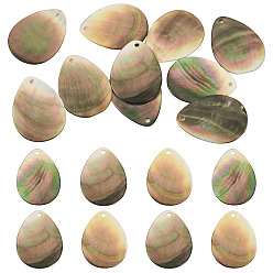 черная губная раковина 10шт. подвески из натуральной черной ракушки для губ, слезинки, 28.5x21x2 мм, отверстие : 1.8 мм