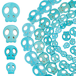 Средний Бирюзовый 4 нити 4 стили окрашенные синтетические бирюзовые бусины нити наборы, череп, средне бирюзовый, 14.5~32.5x13~30x3.5~4 мм, отверстие : 1.4~1.6 мм, около 12~27 шт / нитка, 15.24~16.14 дюйм (38.7~41 см), 1 прядь / стиль