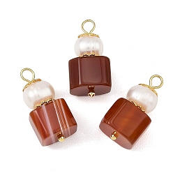 Red Agate Подвески в форме куба из натурального красного агата, геометрические подвески с бусинами из натурального культивированного пресноводного жемчуга и 304 петлями из нержавеющей стали, золотые, 23x11x10 мм, отверстие : 2.5 мм