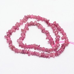Tourmaline Chips Natural Tourmaline Beads Strands, 3~8x3~12x3~5mm, Hole: 1mm, about 16 inch