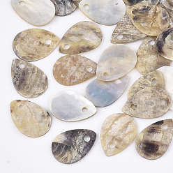 Tan Natural Akoya Shell Charms, Mother of Pearl Shell Pendants, teardrop, Tan, 13x8.5~9.5x1mm, Hole: 1.4mm