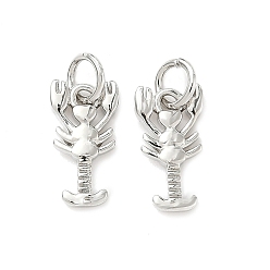 Платина Латунные подвески, омары-талисманы, стойки покрытие, долговечный, без кадмия и без свинца, с целью перехода в кольце, платина, 12.5x7x2 мм, отверстие : 3.5 мм