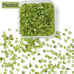 Peridoto 60g cuentas de peridoto natural, sin agujero/sin perforar, chip, 1~13x1~9x0.5~6 mm