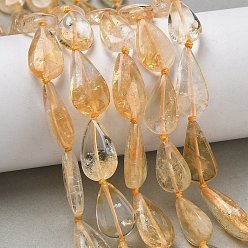 Цитрин Нагретые нити из натуральных цитриновых бусин, квартира слеза, 16~21x10~12x5~6 мм, отверстие : 0.7 мм, около 19~21 шт / нитка, 15.75~16.54'' (40~42 см)