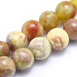 Bloodstone Natural Bloodstone Beads Strands, Round, 6mm, Hole: 0.7mm, about 69pcs/strand, 15.7 inch(40cm)