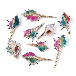 Разноцветный Большие подвески из натуральной раковины морской улитки, окрашенные методом электролитического покрытия., подвески в форме ракушек, с железными петлями и латунной фурнитурой, золотые, красочный, 52~86x30~35x23~30 мм, отверстие : 1.8 мм