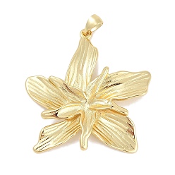 Настоящее золото 18K Стойки обшивки латунные подвески, прелести цветка лилии, долговечный, без свинца и без кадмия, реальный 18 k позолоченный, 37x35x4.5 мм, отверстие : 5x3 мм