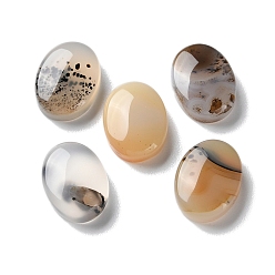 Дендритный Агат Натуральные дендритные агатовые кабошоны, овальные, 16x12x5 мм
