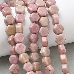 Rhodonite Rhodonite naturelles brins de perles, hexagone, 8x8.5~9x5mm, Trou: 0.8mm, Environ 47~48 pcs/chapelet, 15.16~15.35'' (38.5~39 cm)