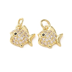 Fish Латунные микро-паве черные кубические циркониевые подвески, прелести животных, без свинца и без кадмия, стойки покрытие, долговечный, реальный 18 k позолоченный, рыба, 11x11.5x3.5 мм, отверстие : 3.3 мм