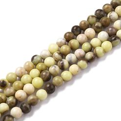 Масло Нефрит Натуральное сливочное масло нефрита нити круглый шарик, 3 мм, отверстие : 0.6~0.7 мм, около 135 шт / нитка, 15.7 дюйм