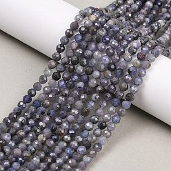 Танзания Натуральные шарики из танзанита, граненые, круглые, 4 мм, отверстие : 0.6 мм, около 96 шт / нитка, 15.16 дюйм (38.5 см)