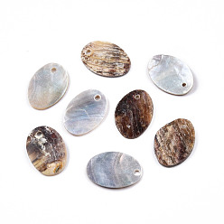 Akoya Shell Natural Akoya Shell Pendants, Mother of Pearl Shell Pendant, Oval Charm, 14.5~15x10~11x1~2mm, Hole: 1.2mm