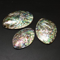 Coquille Paua Paua ovale cabochons shell, 57~66x37~46x7~10mm