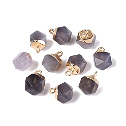Grey Agate Natural Grey Agate Pendants, Polygon Charms, with Golden Tone Brass Loops, 11.5~14x7~9.5x7~9.5mm, Hole: 1.6~1.8mm