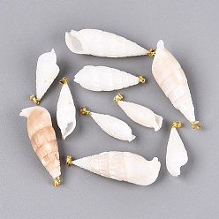 Light Gold Spiral Shell Big Pendants, Shell Shape, Seashell Color, Light Gold, 29~62x11~21x11~19mm, Hole: 4~5x3.5mm