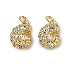 Настоящее золото 18K Латунные микро проложить кубического циркония подвески, раковины прелести, с целью перехода в кольце, долговечный, без кадмия и без свинца, стойки покрытие, реальный 18 k позолоченный, 14.5x11x5 мм, отверстие : 3 мм