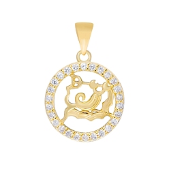 Acuario Micro latón allanan colgantes cúbicos del zirconia, colgante redondo plano con constelación, real 18 k chapado en oro, Acuario, 16 mm