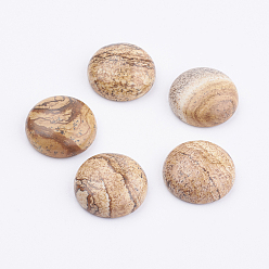 Picture Jasper Natural Picture Jasper Cabochons, Half Round/Dome, 20x7mm